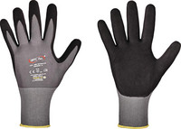 E6446248